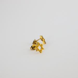 Star of David Gold Stainless Steel Earrings