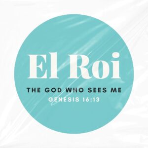 El Roi Licence Disk Sticker
