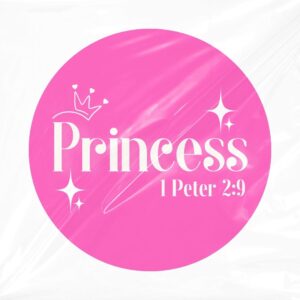 Princess Licence Disk Sticker